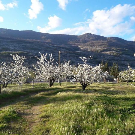 Апартаменти La Casita Del Jerte Кабесуела-дель-Вальє Екстер'єр фото