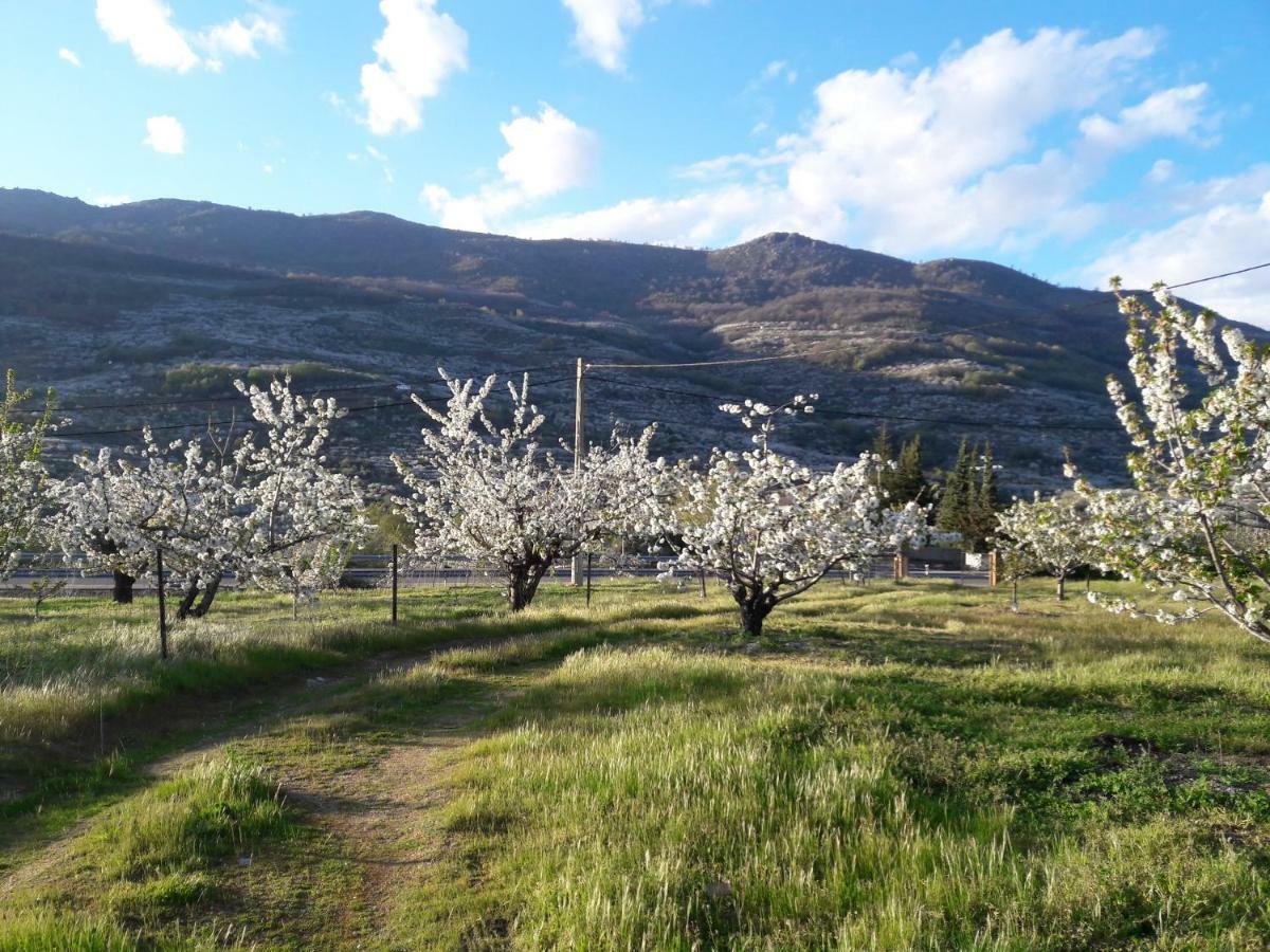 Апартаменти La Casita Del Jerte Кабесуела-дель-Вальє Екстер'єр фото